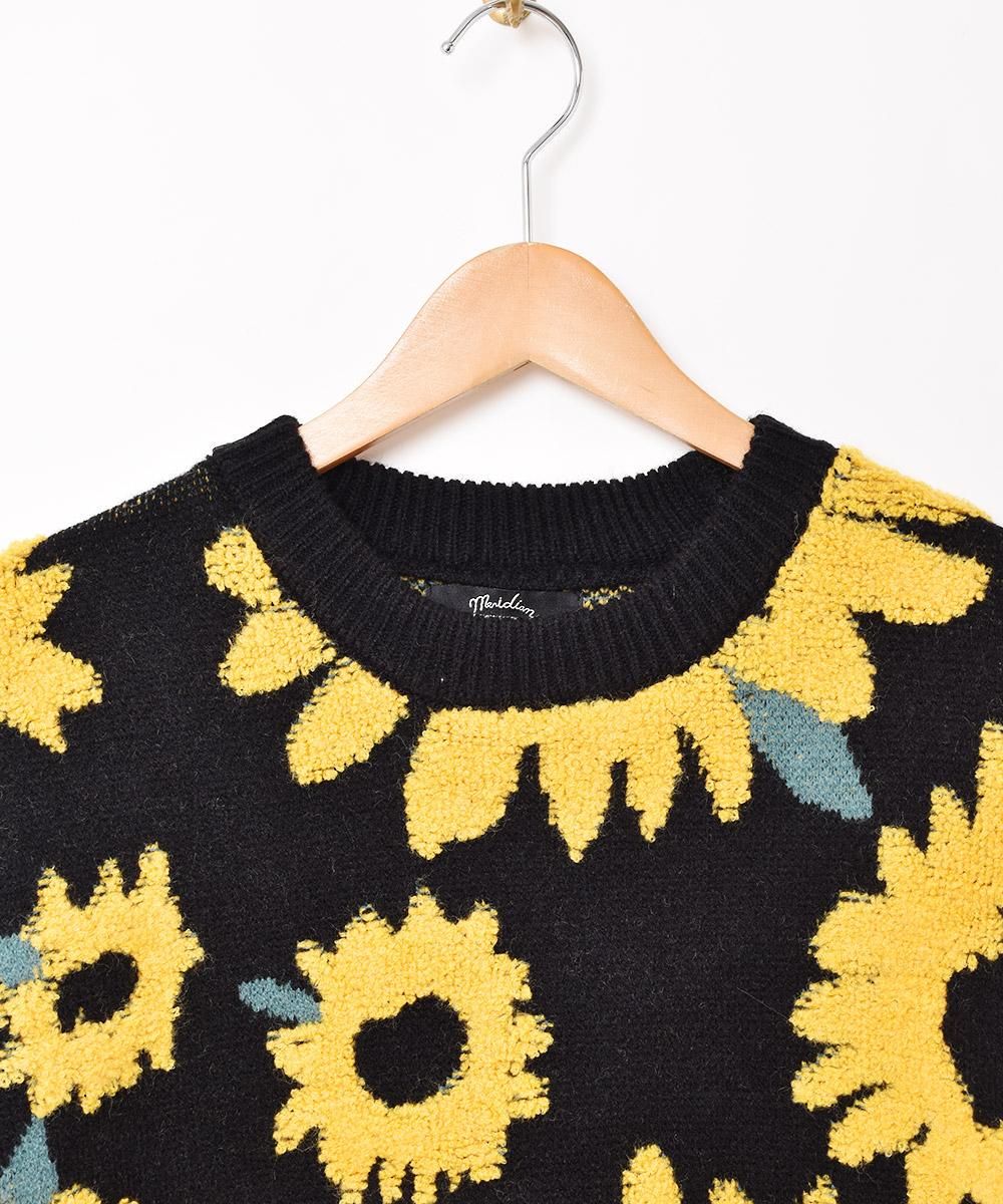 2ŸۡMeridianץҥޥ  ֥åͥ