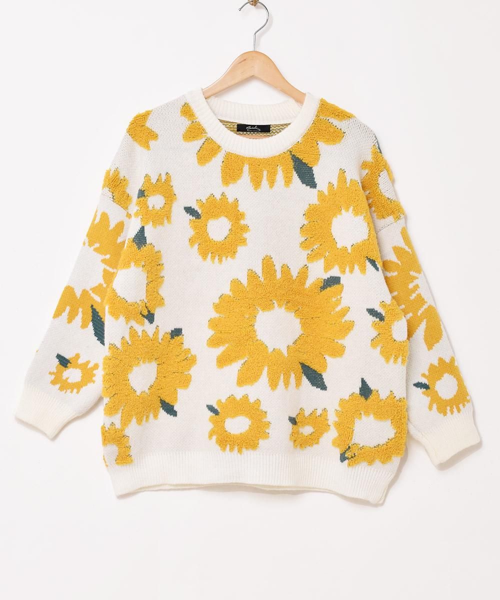  2ŸۡMeridianץҥޥ  ۥ磻  ͥå  岰졼ץե롼 ࡼ