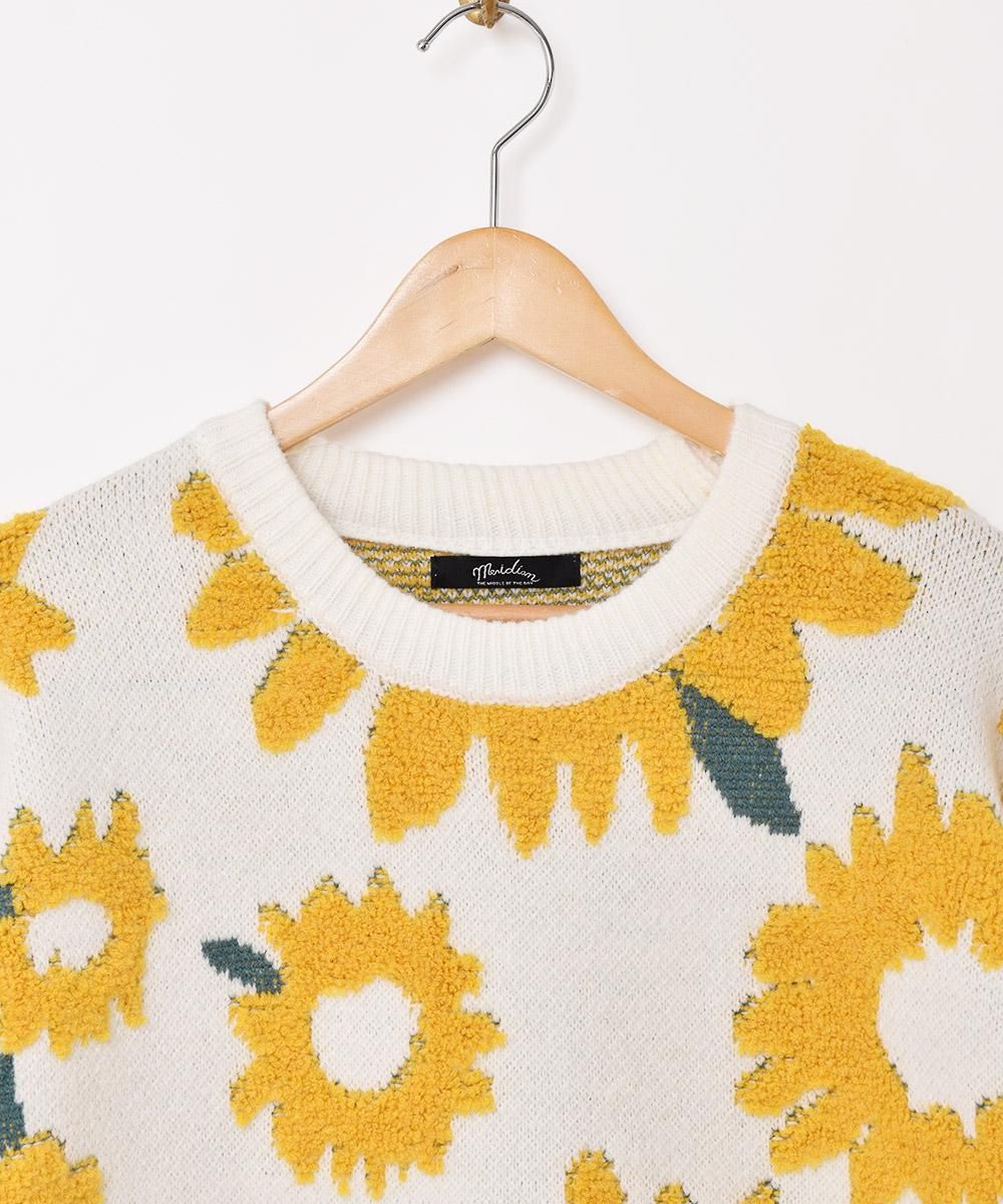 2ŸۡMeridianץҥޥ  ۥ磻ȥͥ