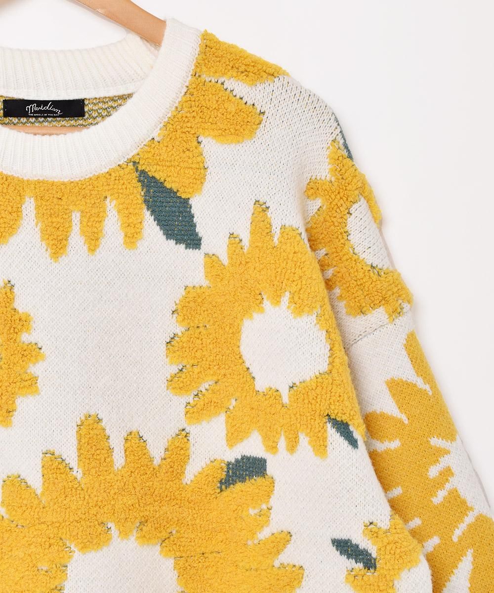 2ŸۡMeridianץҥޥ  ۥ磻ȥͥ