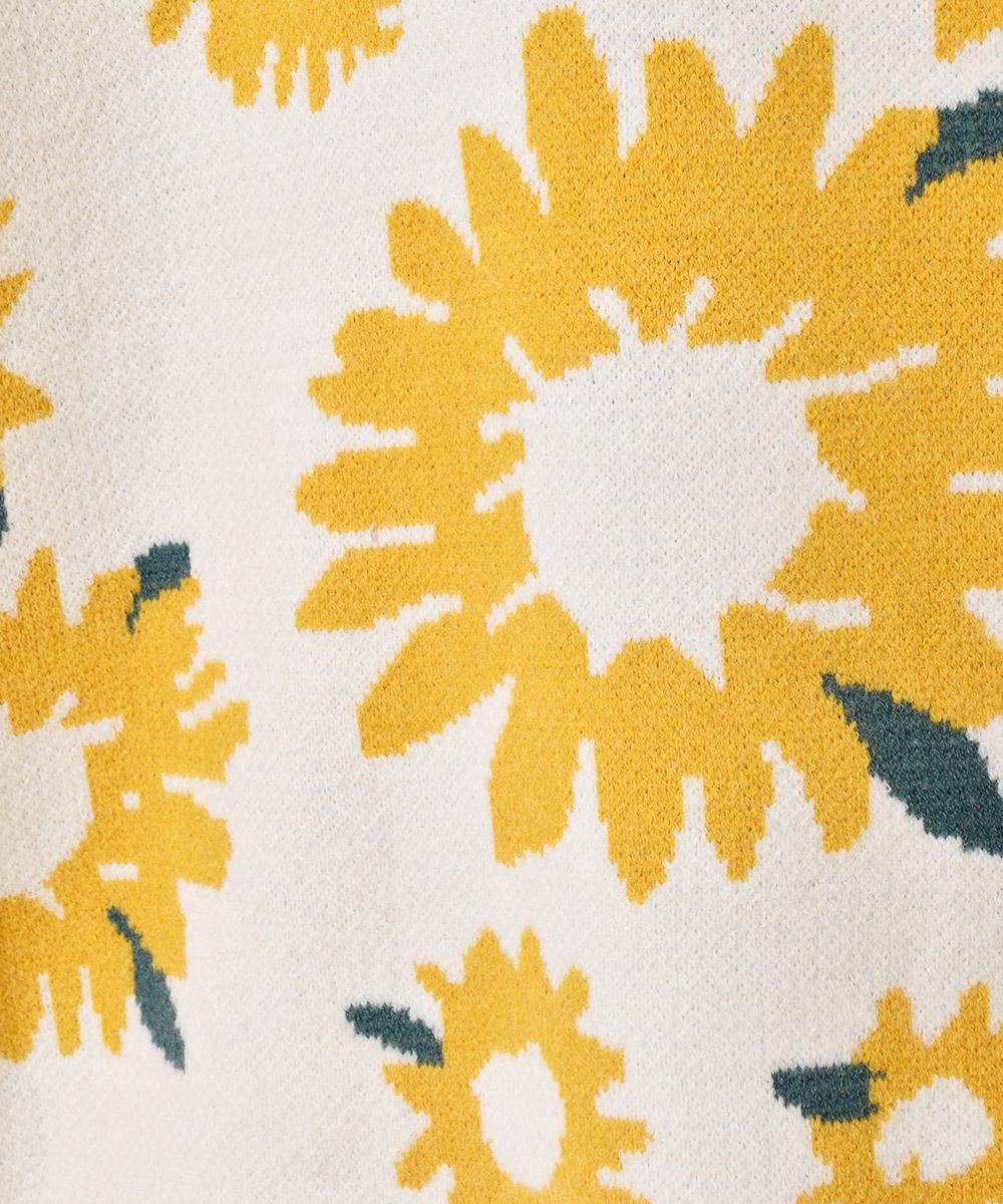 2ŸۡMeridianץҥޥ  ۥ磻ȥͥ