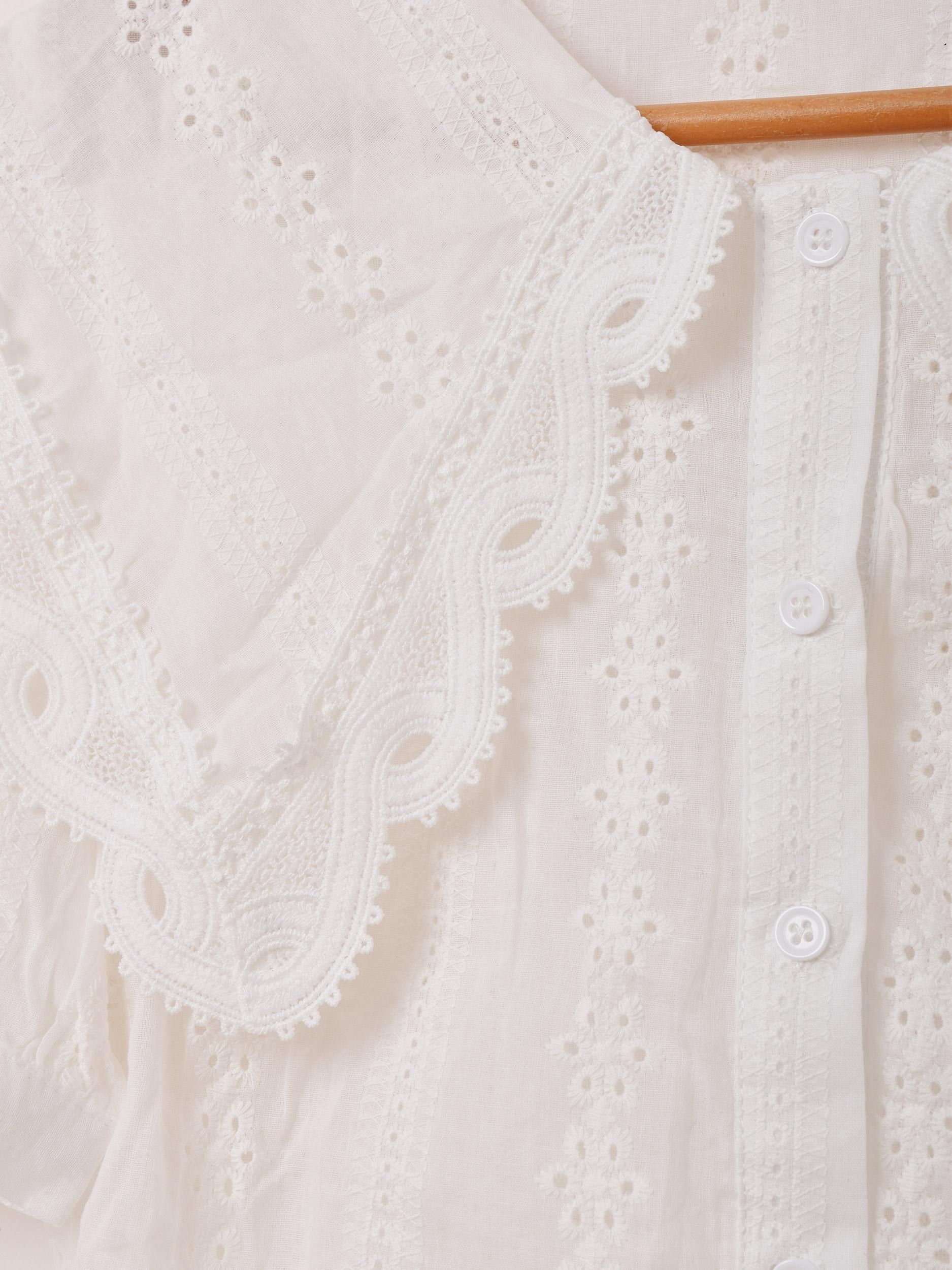 2ŸۡMeridianץåȥ졼 ӥå顼 Ⱦµ֥饦 ۥ磻ȥͥ