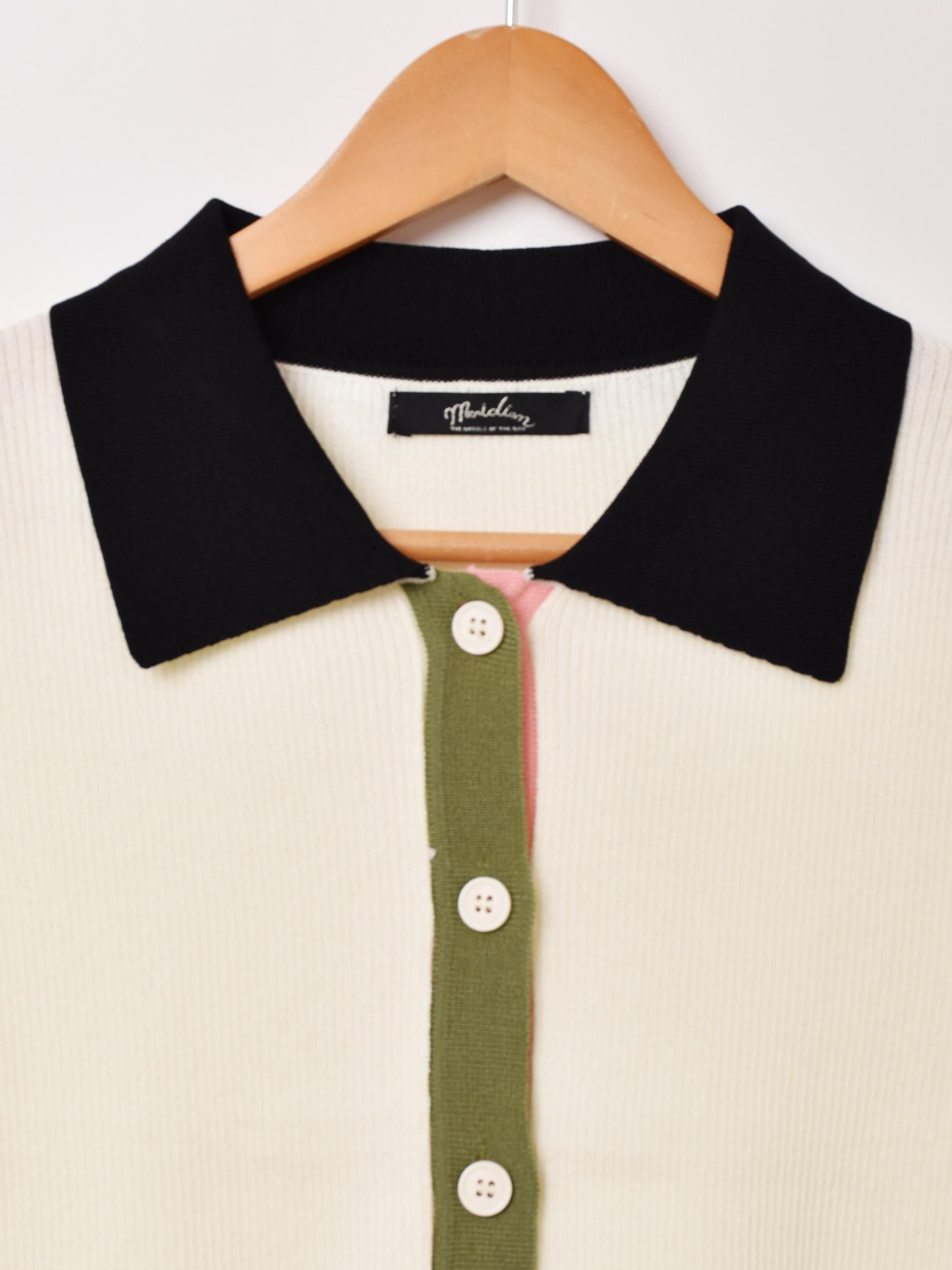 2ŸۡMeridianȾµ ڤؤ ǥ ۥ磻ȥͥ