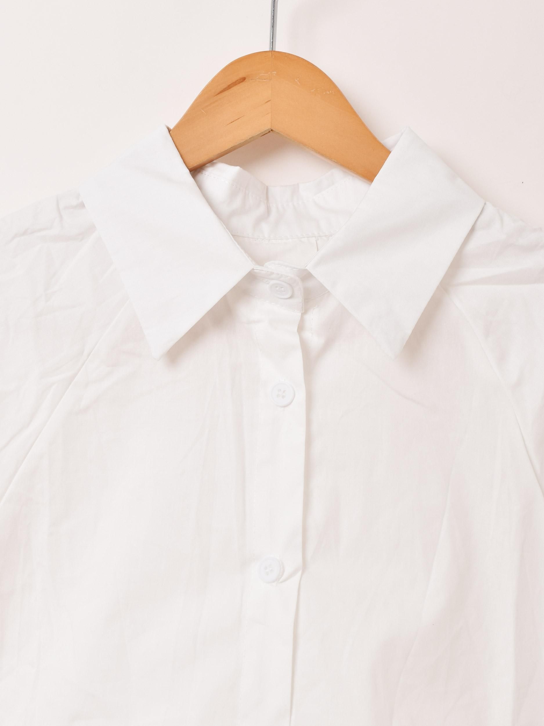 MeridianץХ롼󥹥꡼ Ⱦµ ĥͥ