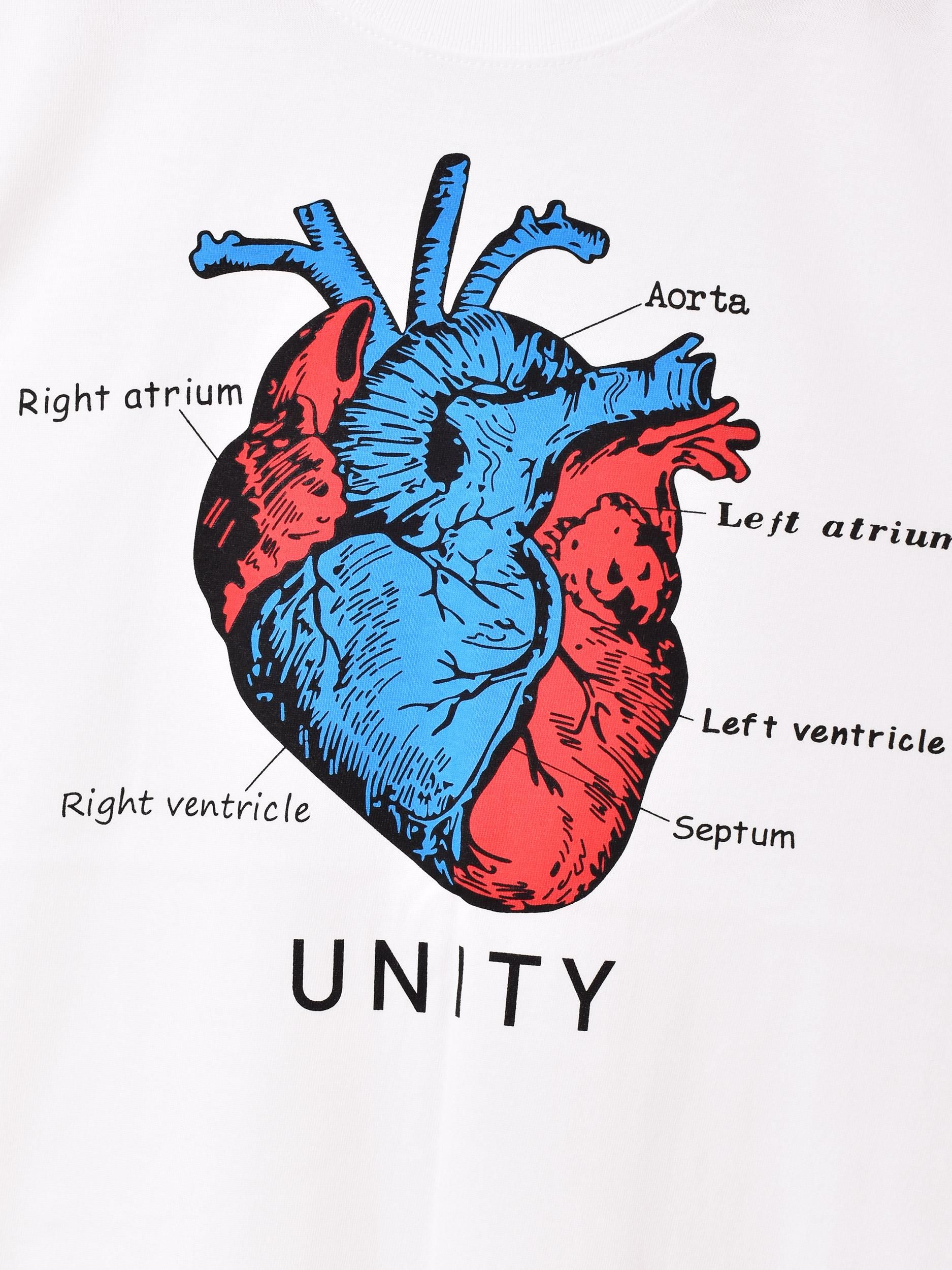 2ŸۥץTġHERAT ۥ磻ȥͥ