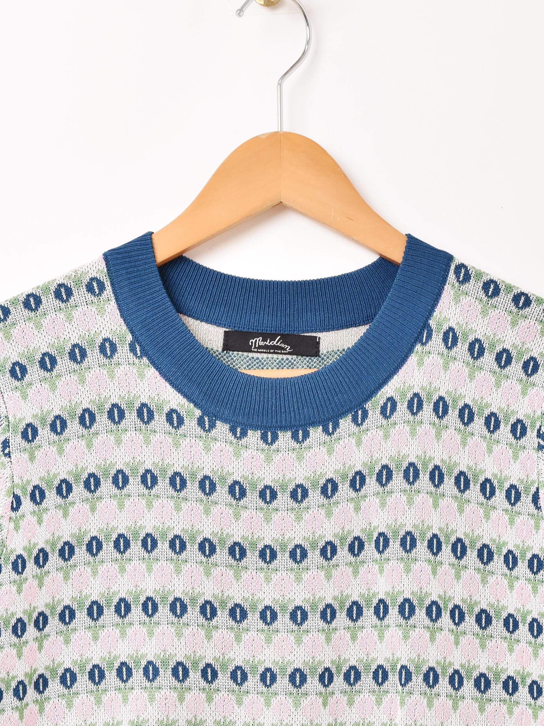 3ŸۡMeridianײ Ⱦµ  ֥롼ͥ