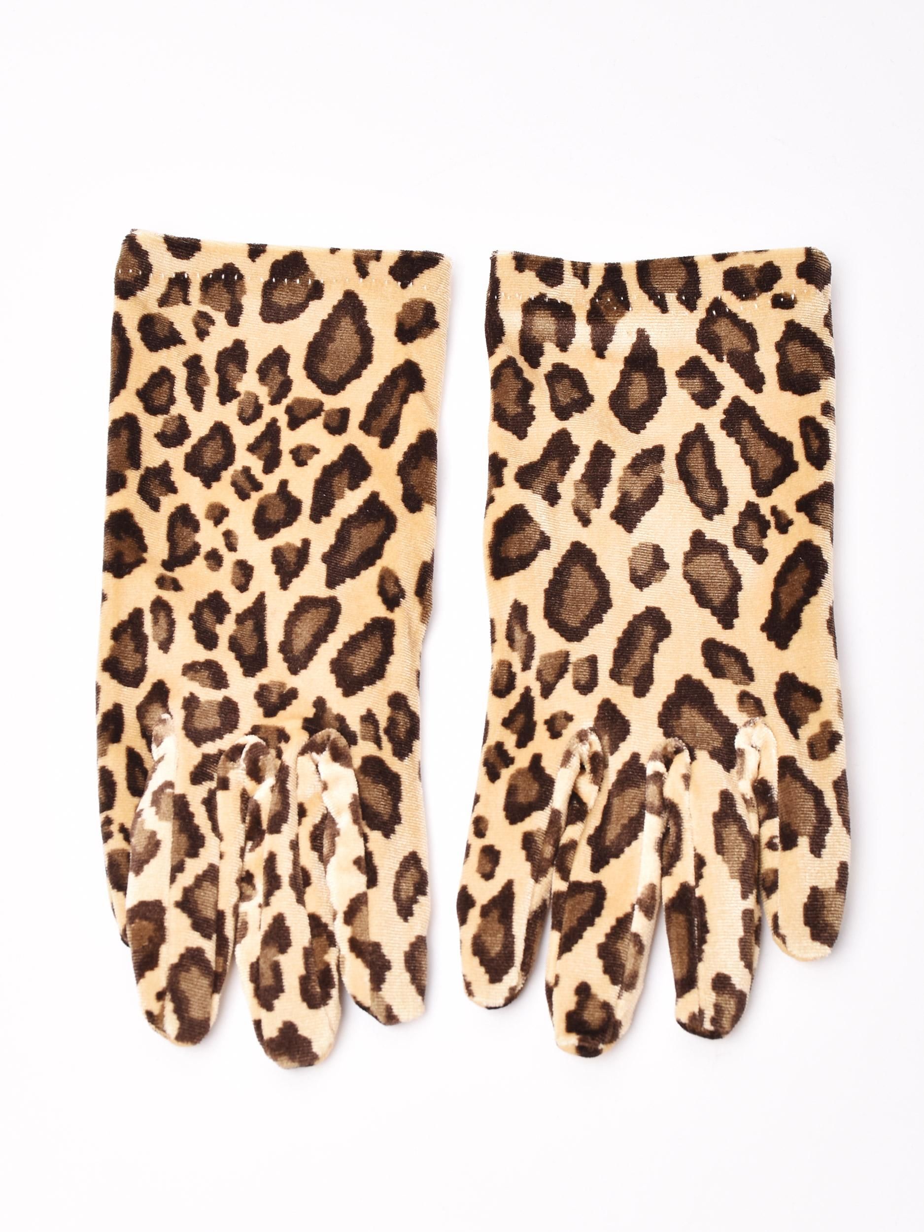 ˥ޥ ٥٥å  ١奵ͥ