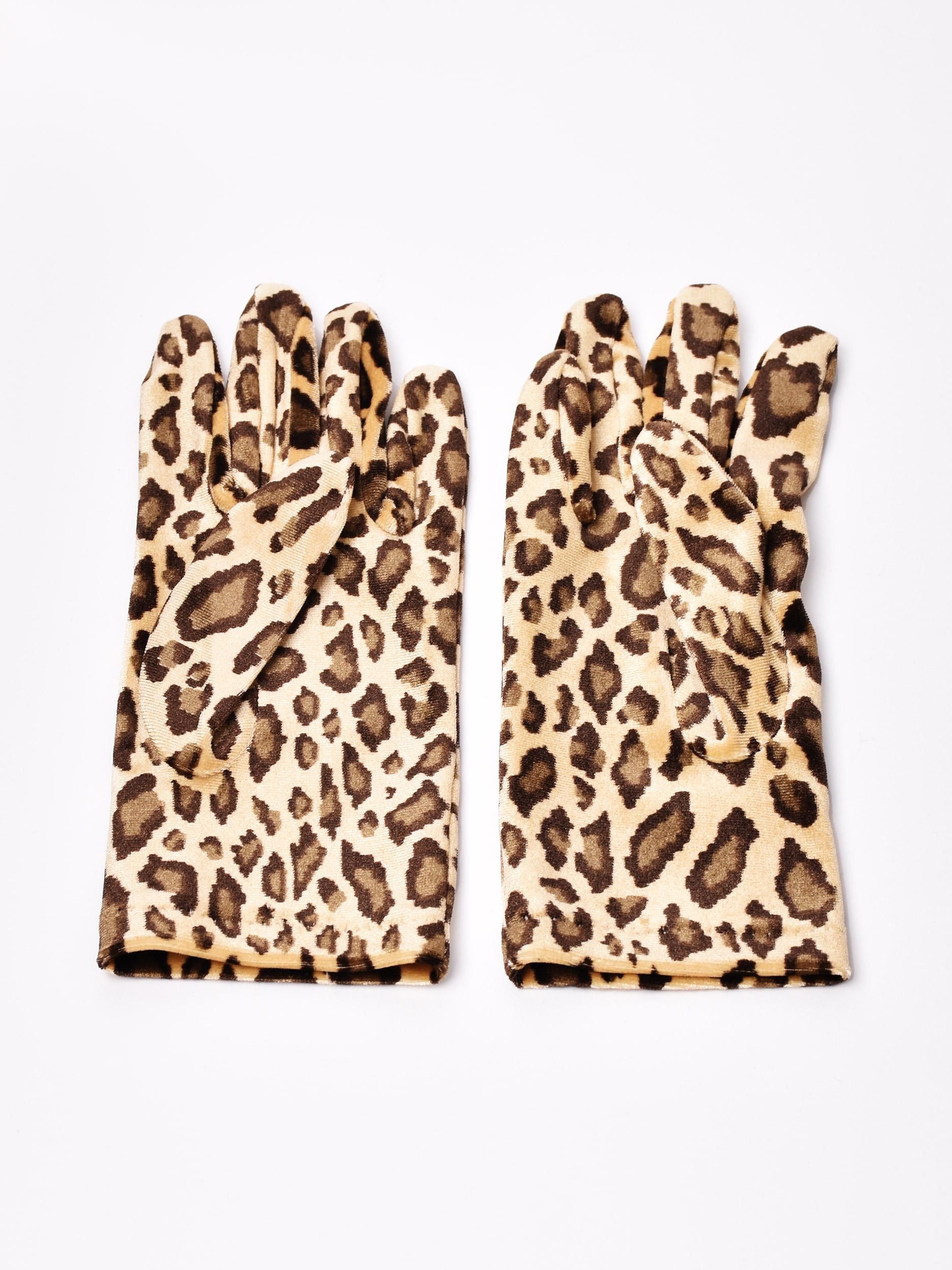 ˥ޥ ٥٥å  ١奵ͥ