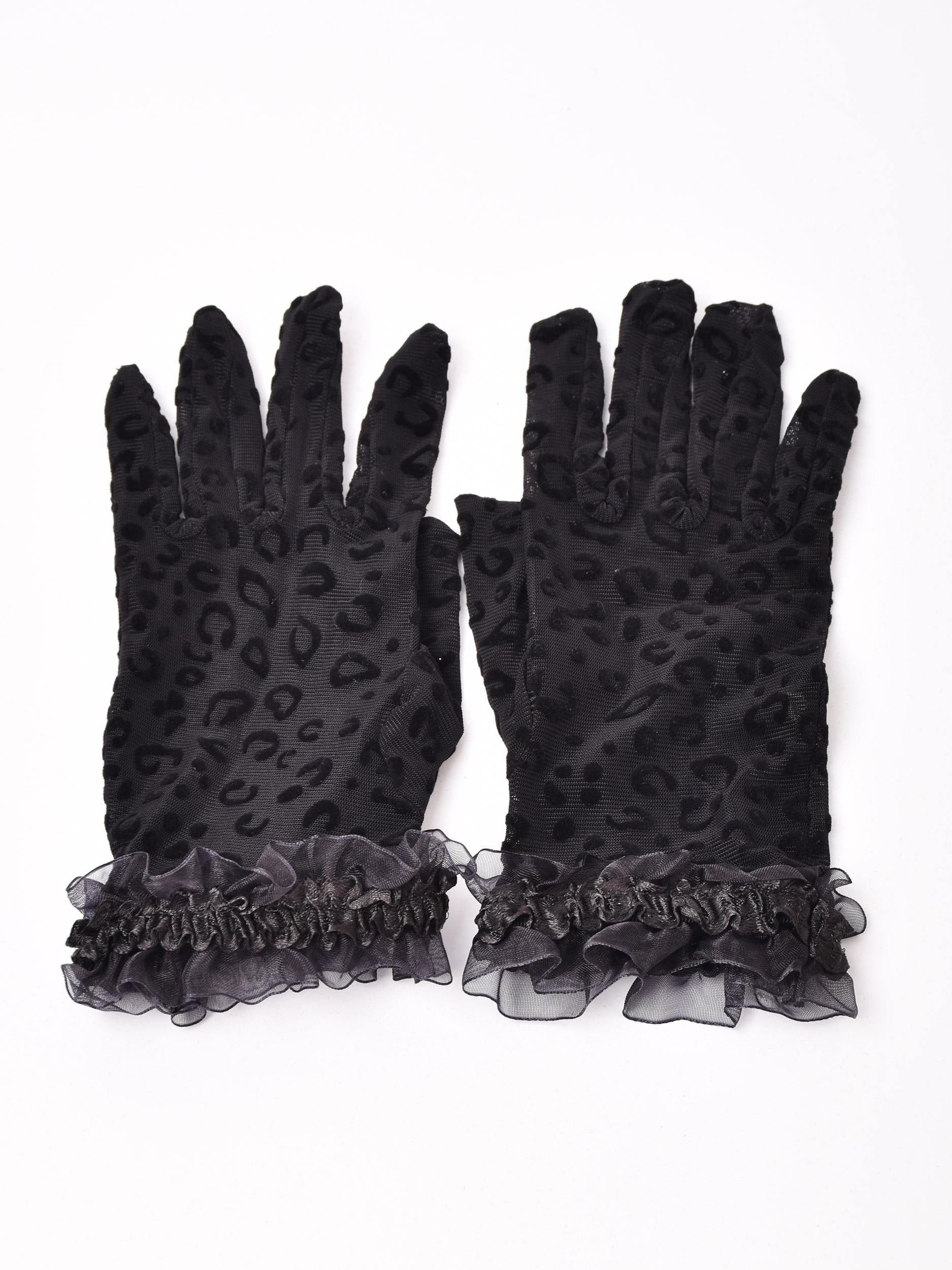 2Ÿۥ쥪ѡ ե   ֥åͥ