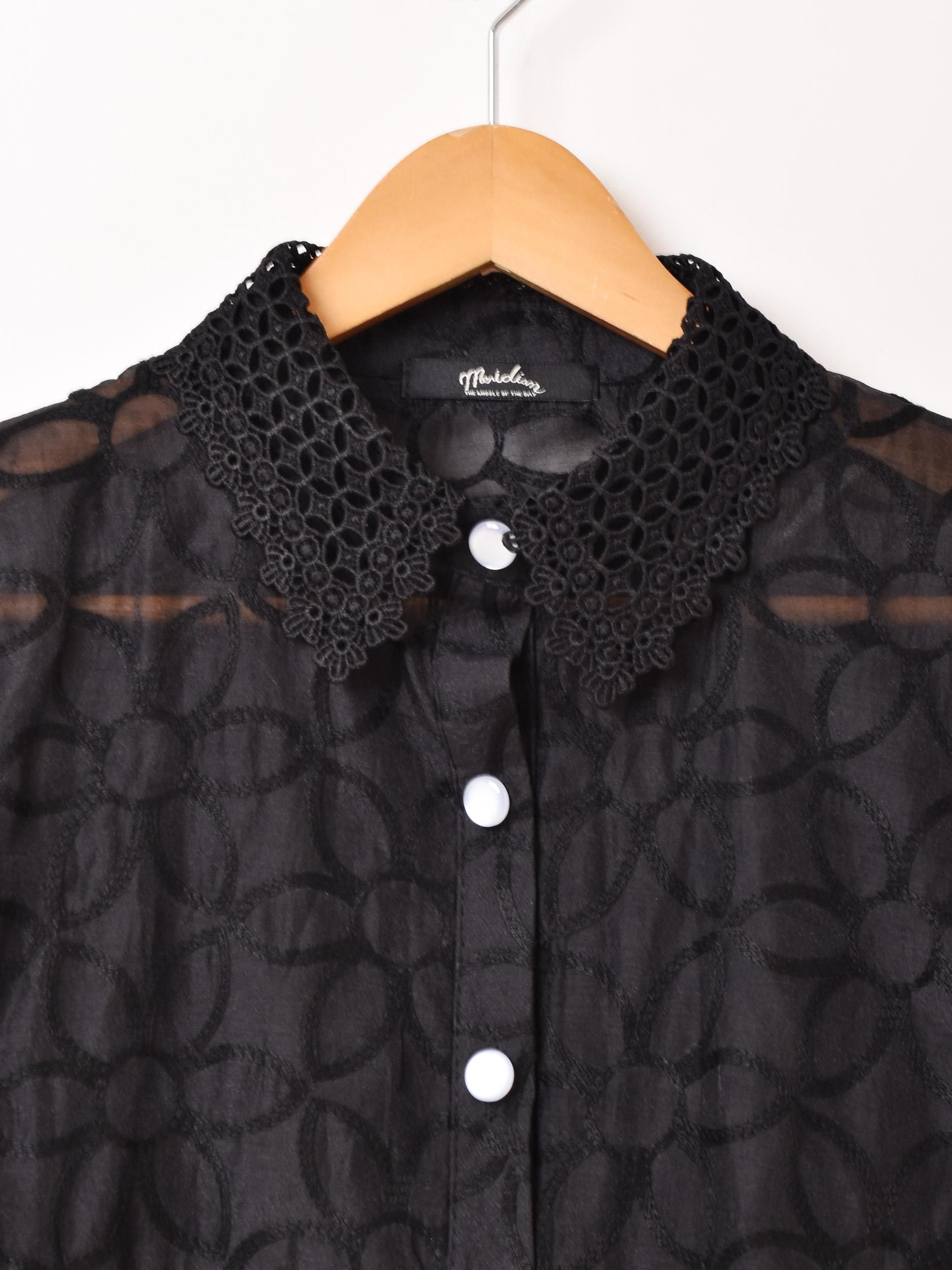 2ŸۡMeridianײֻɽ  Ĺµ֥饦 ֥åͥ