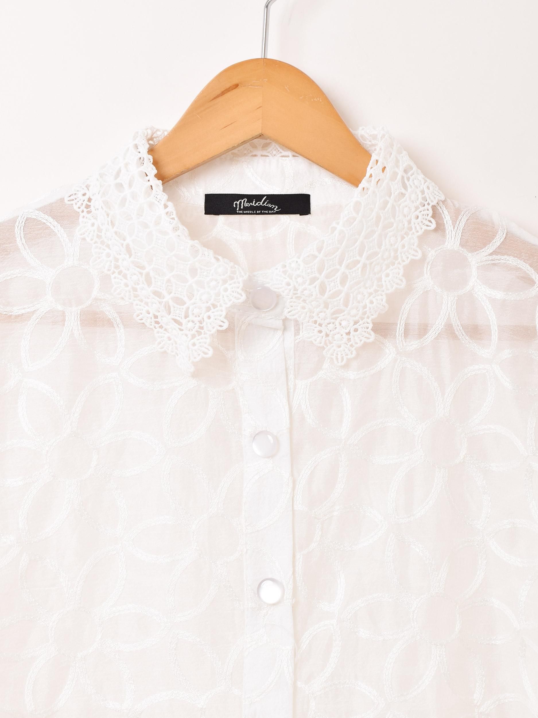 2ŸۡMeridianײֻɽ  Ĺµ֥饦 ۥ磻ȥͥ