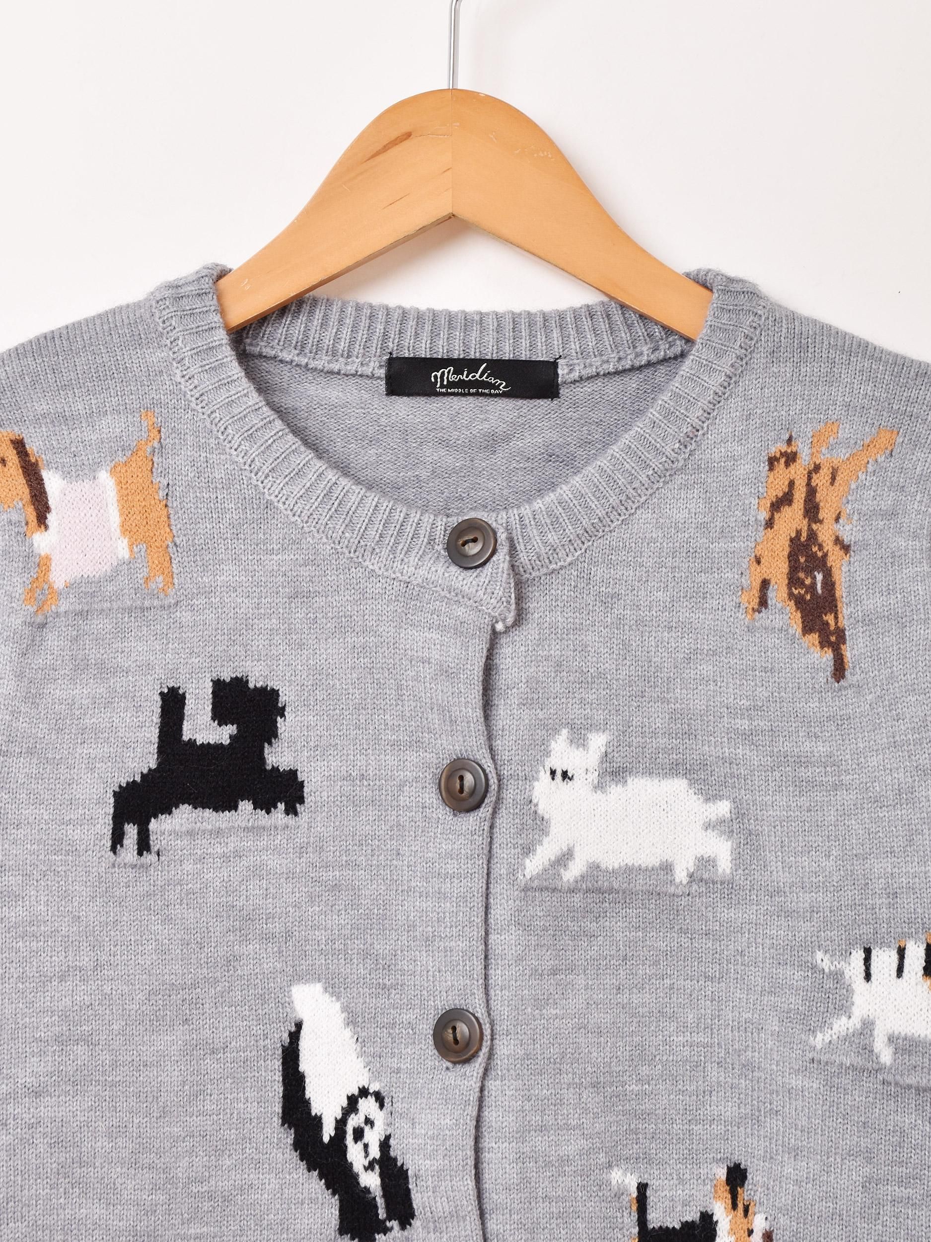 Meridianץǥ Dog Runningץͥ