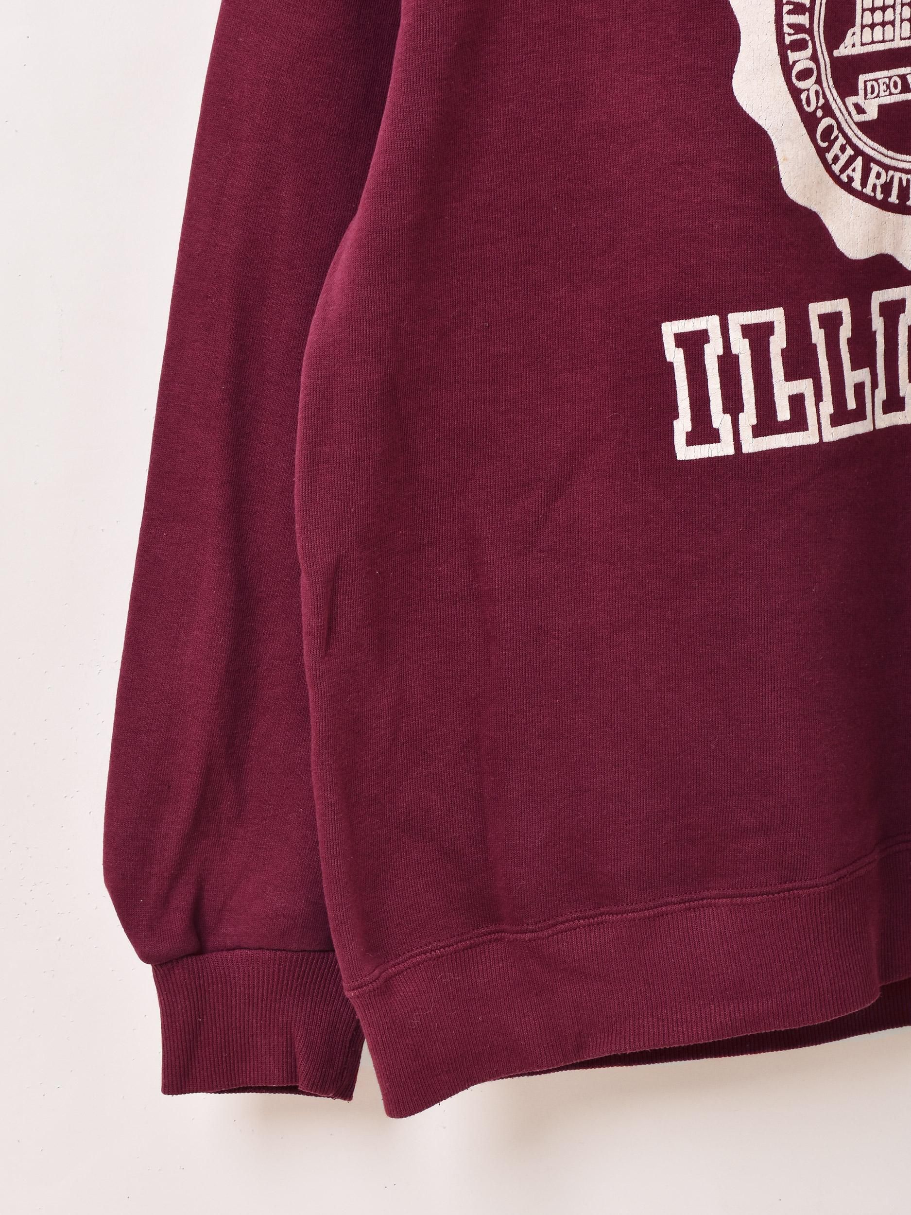 ꥫ Southern Illinois University åȥĥͥ