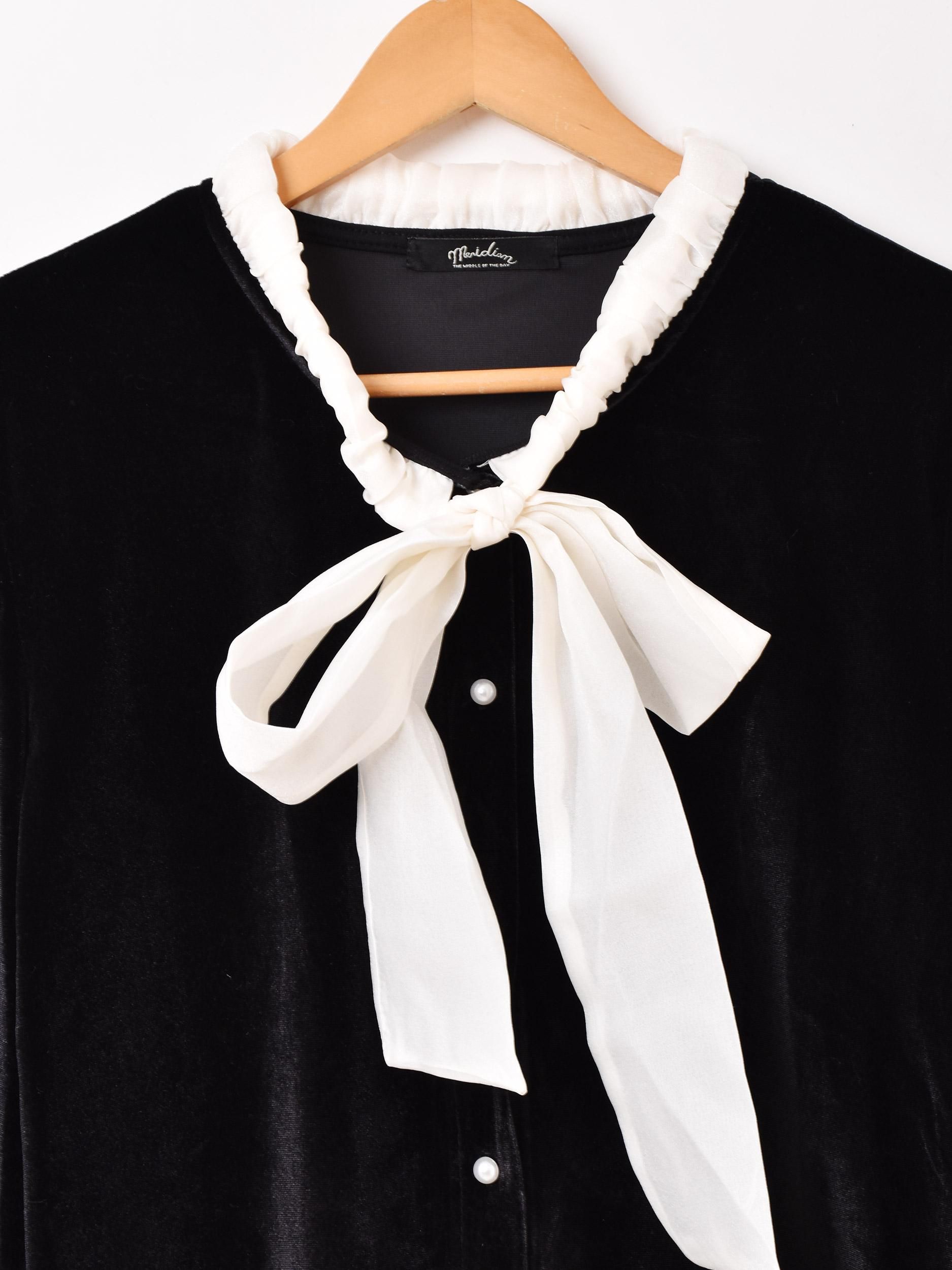 MeridianĹµ ܥ󥿥 ٥ ֥饦ͥ