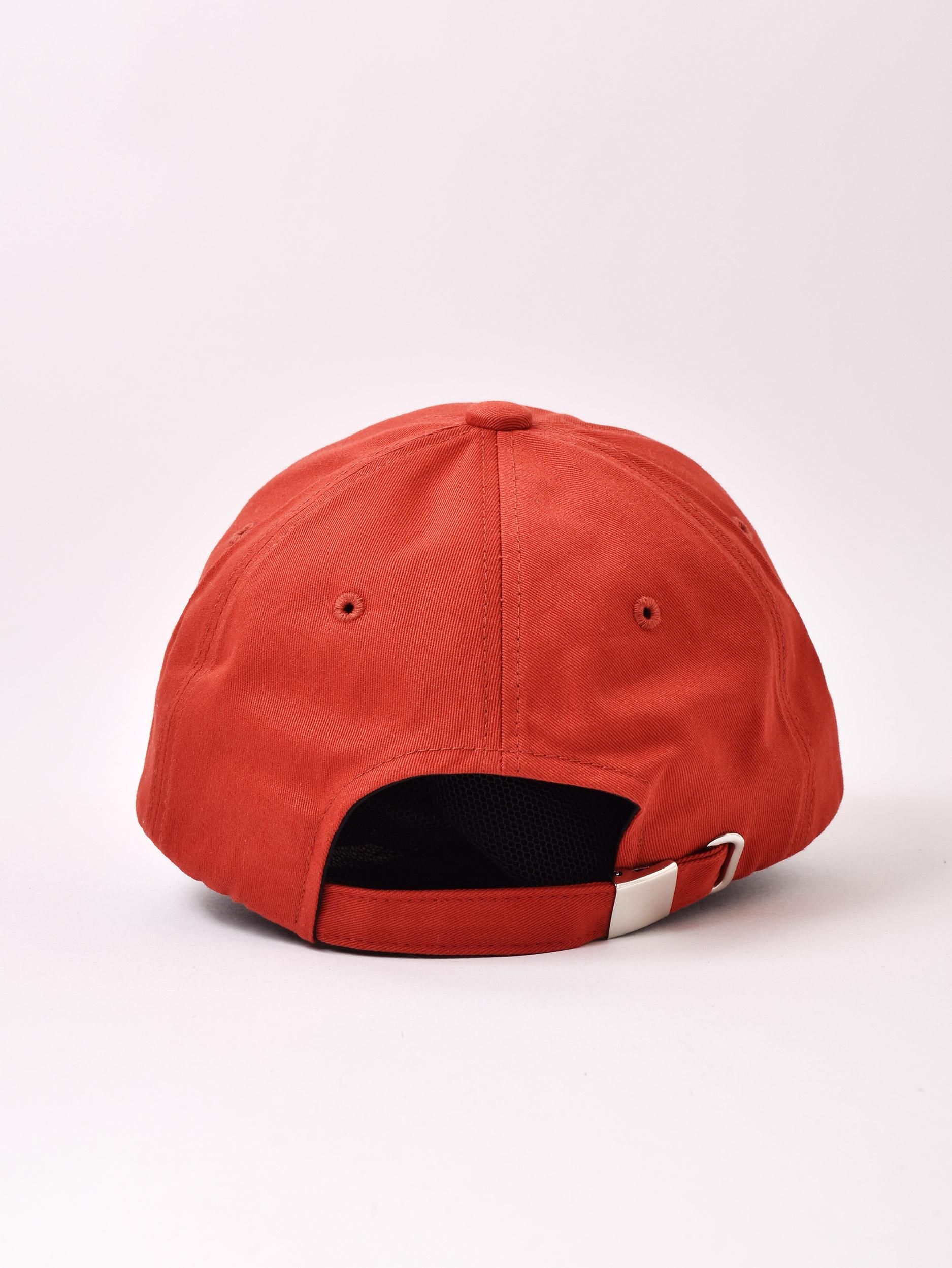 ɽ å MINNESOTA åɥͥ