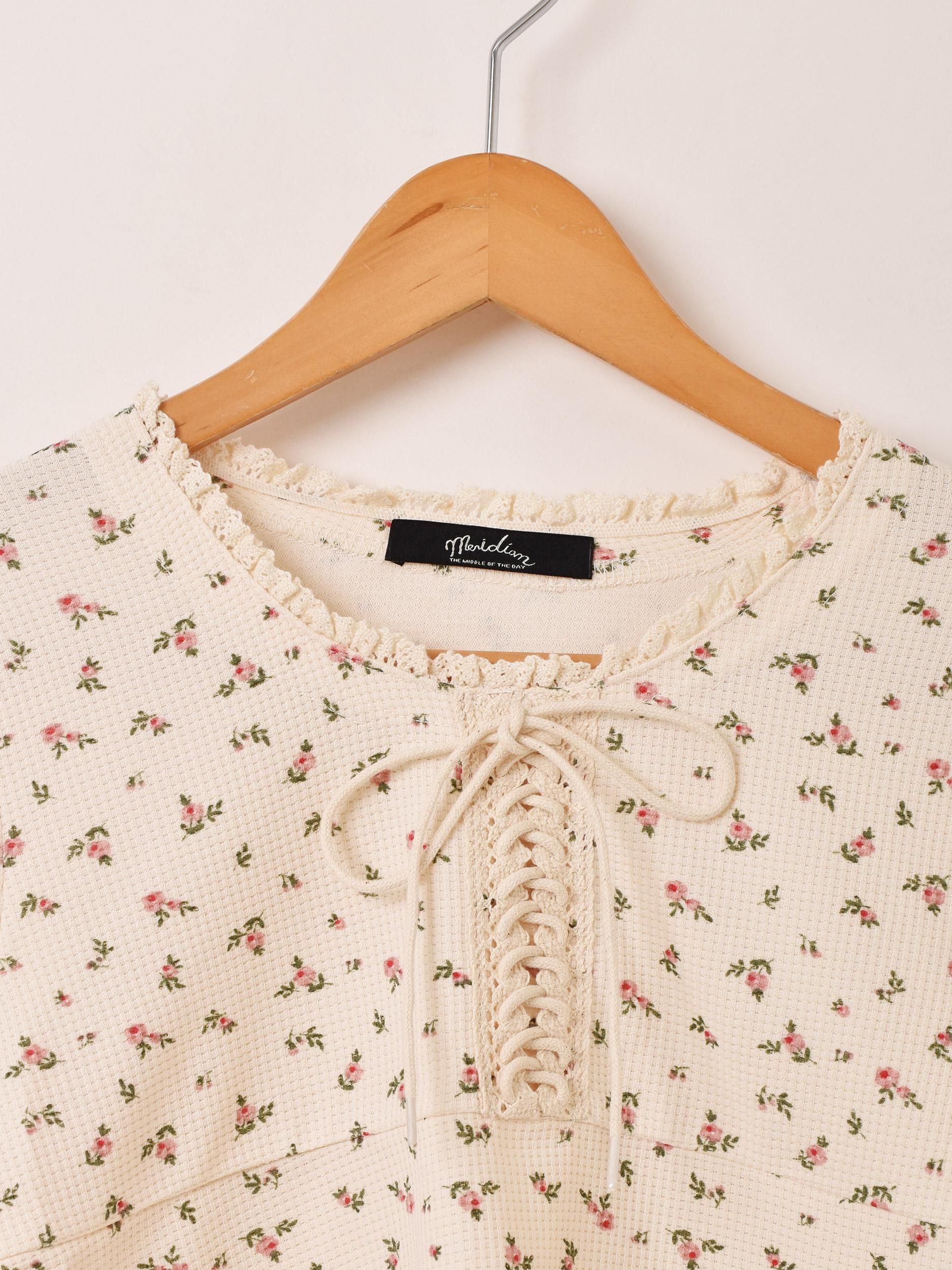 Meridianײ 졼å Ĺµåȥͥ