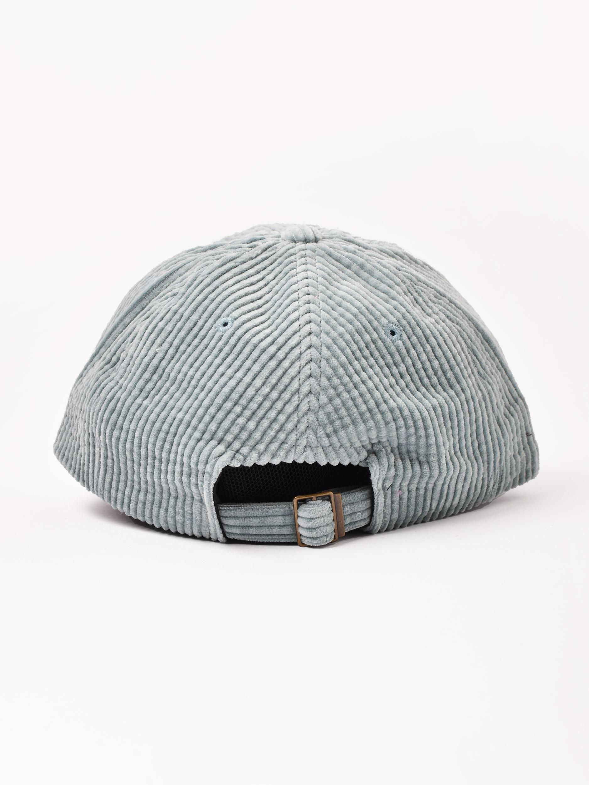 ɽ ǥ åסPUPPY'S DAY å֥롼ͥ