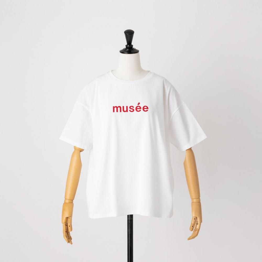 シロアカ