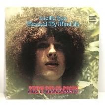 JEFF SIMMONS / LUCILLE HAS MESSED MY MIND UP / LP B