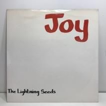 THE LIGHTNING SEED / JOY / EP B5