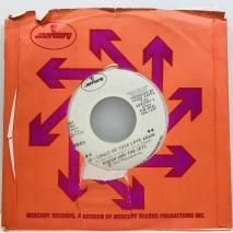 RUBEN AND THE JETS / IF I COULD BE YOUR LOVE AGAIN / EP B2