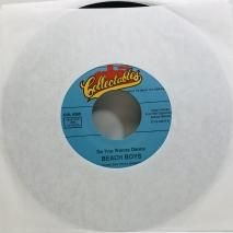BEACH BOYS / BEACH BOYS MEDLEY / EP B2
