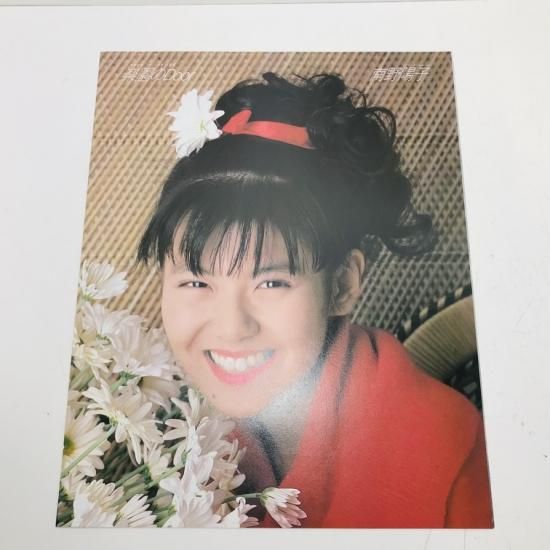 南野陽子 / 楽園のDOOR / LP (J) - 中古レコード通販 東京コレクターズ