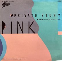 V.A. PINK / PRIVATE STORY / EPB18
