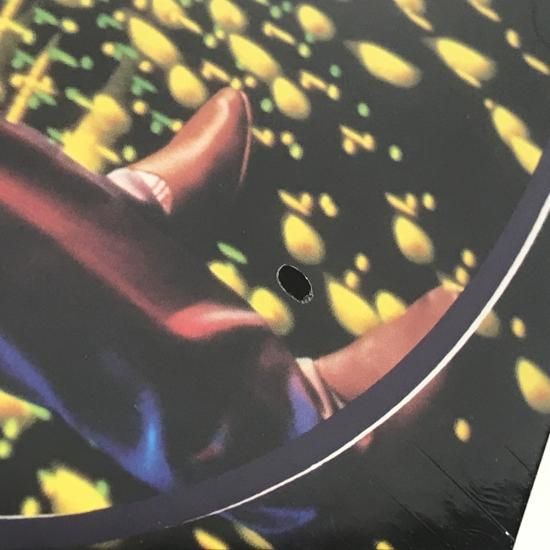 TM NETWORK / GORILLA / LP（M） - 中古レコード通販 東京