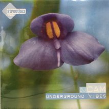 DJ CAM / UNDERGROUND VIBES / LP (L)