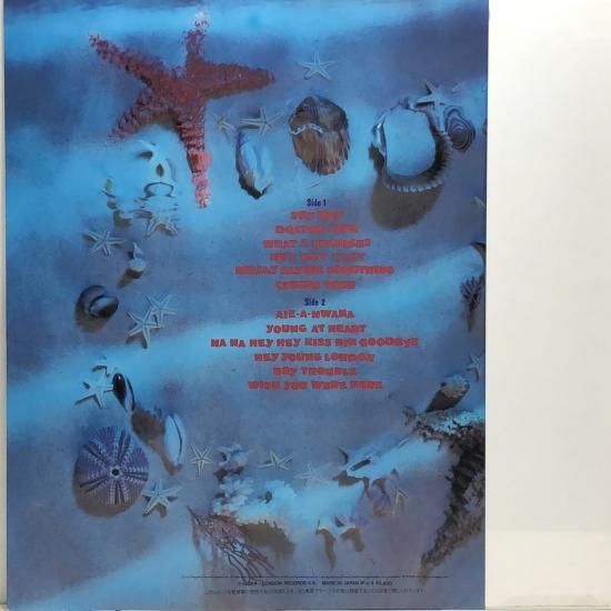 ナツ・サマー「ハロー、フューチャー・デイ」レコード LP 新品 LP ナツサマー - メルカリ