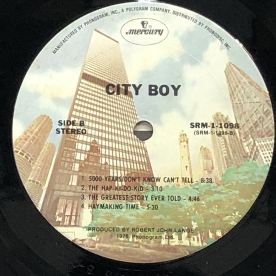 CITY BOY / CITY BOY / LP（J） - 中古レコード通販 東京コレクターズ