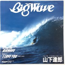 ãϺ / THE THEME FROM BIG WAVE / EPB10