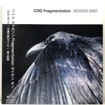 󡦥 / CDG Fragmentation / LPE