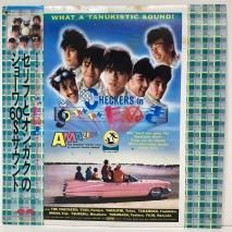߷ע / å CHECKERS in TAN TAN ̤ / C28A0405 / LP