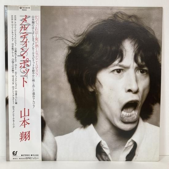 山本翔 melting pot 見本盤 美盤 送料込 パフォーマンス - メルカリ