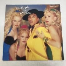 ◾️UKオリジナル盤/稀少高音質轟音12インチ2枚組■JOHN COUGAR ME ◾️UKオリジナル盤/稀少高音質轟音12インチ2枚組□JOHN COUGAR