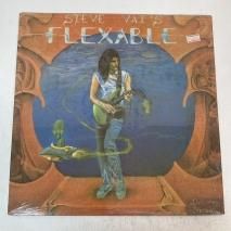 STEVE VAI / FLEXABLE / LP KB18 240603_M