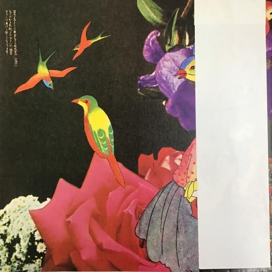 あがた森魚 / 乙女の儚夢 / OFL-5 / LP - 中古レコード通販 東京