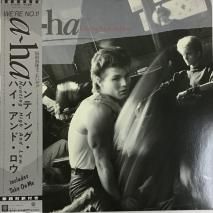 a-ha / ϥƥ󥰡ϥɡ HUNTING HIGH AND LOW / P-13153 / LP
