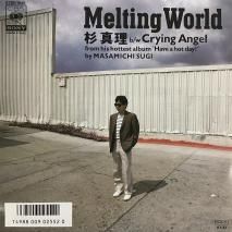  Masamichi Sugi / Melting World / 07SH 1945 / EP