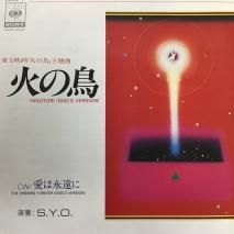 S.Y.O/ ФĻ HINOTORI /06SG 7 / EP