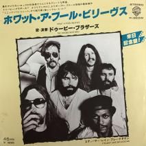ɥӡ֥饶 THE DOOBIE BROTHERS / ۥåȡա롦ӥ꡼ WHAT A FOOL BELIEVES / P-363W / EP