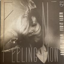 綶 / ե󥰡ʥ FEELING NOW / FX-6057 / LP