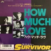 ХС SURVIVOR/ ϥޥå HOW MUCH LOVE / 7Y0119 / EP
