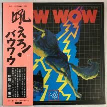 Х復 / 㤨 / LP SJX-10179