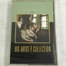 塼å Tulip / ӥåƥȡ٥ȡ쥯 BIG ARTIST best COLLECTION / ZT20-9049 / åȥơ