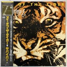 ХС SURVIVOR / ֡ EYE OF THE TIGER / LP C25Y0024
