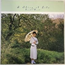 ̯ / 饤֡饤/ LP MIL-1031