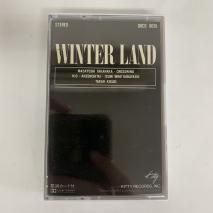 V.A. / WINTER LAND  / 00CS 9015 / åȥơ  λ쥫̵